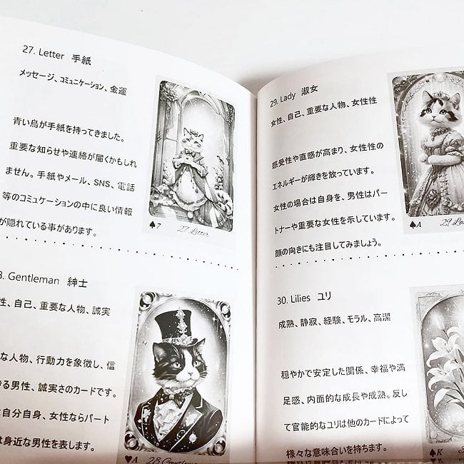 マジカルラブリーキャッツ・ルノルマン - Magical Lovely Cats Lenormand 3 - 素敵なカードです、あなたはなにを問いますか？