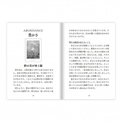 セイクレッドデスティニーオラクル（スペシャルエディション） - Sacred Destiny Oracle (Special Edition)　 - サブ3