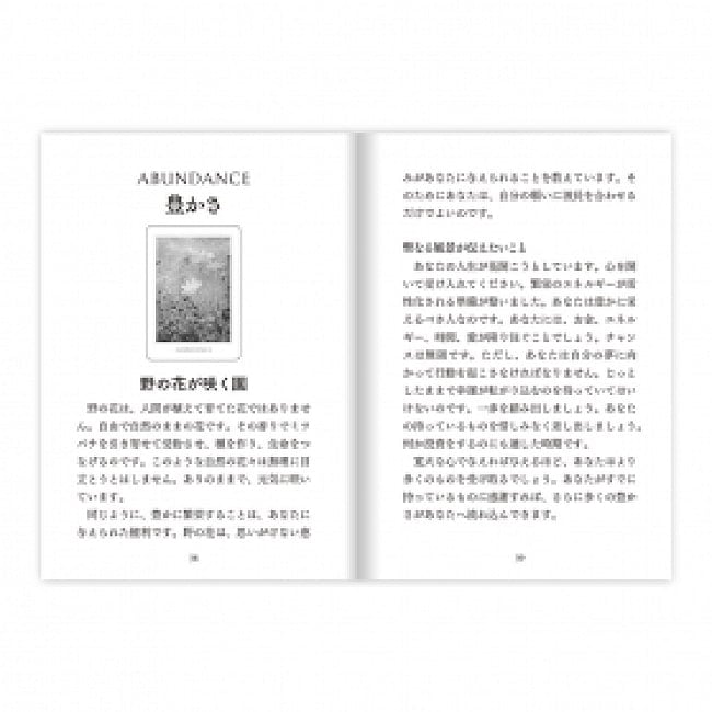 セイクレッドデスティニーオラクル(スペシャルエディション) - Sacred Destiny Oracle (Special Edition) の商品写真 3枚目 素敵なカードです、あなたはなにを問いますか?