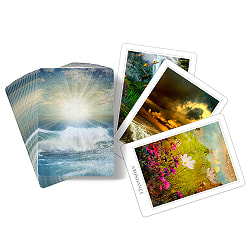 セイクレッドデスティニーオラクル（スペシャルエディション） - Sacred Destiny Oracle (Special Edition)　 - サブ5