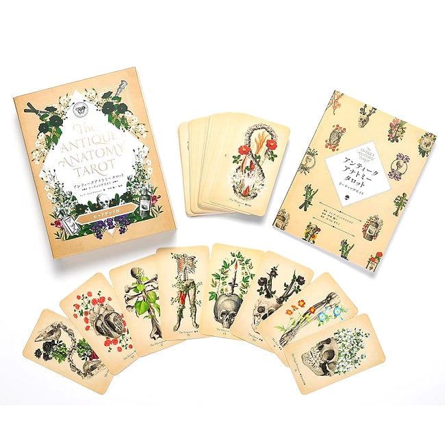 アンティークアナトミータロット - Antique Anatomy Tarotの商品写真 2枚目 ノスタルジー