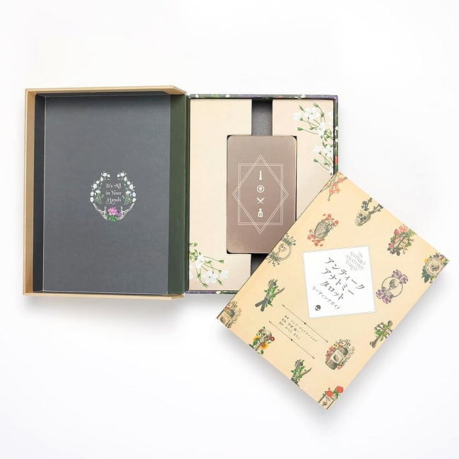 アンティークアナトミータロット - Antique Anatomy Tarotの商品写真 4枚目 カードの大きさはこのくらい。カードを持っている手は、手の付け根から中指の先までで約17cmです。