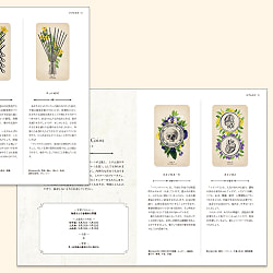 アンティークアナトミータロット - Antique Anatomy Tarot - サブ5