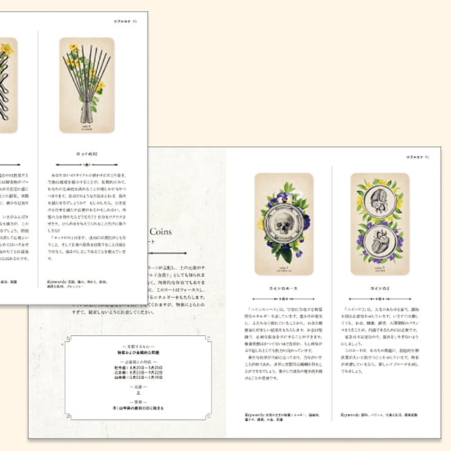 アンティークアナトミータロット - Antique Anatomy Tarotの商品写真 5枚目 外箱の大きさはこのくらい。箱を持っている手は、手の付け根から中指の先までで約17cmです。