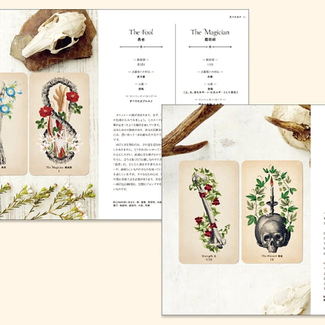 アンティークアナトミータロット - Antique Anatomy Tarotの商品写真 6枚目 あなたは何を占う?