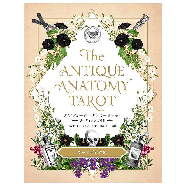 アンティークアナトミータロット - Antique Anatomy Tarotの商品写真 1枚目 神秘の世界