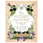 アンティークアナトミータロット - Antique Anatomy Tarot