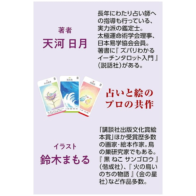 幸運の羅針盤 易タロットカード - Lucky Compass Tarot Cardsの商品写真 4枚目 カードの大きさはこのくらい。カードを持っている手は、手の付け根から中指の先までで約17cmです。