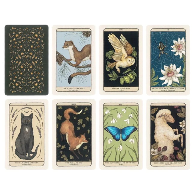 ウッドランドウォーデンズオラクルカード - Woodland Wardens Oracle Cards 2 - ノスタルジー