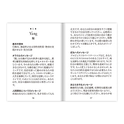 ウィズダムオラクルカード ポケット - Wisdom Oracle Cards Pocket - サブ4