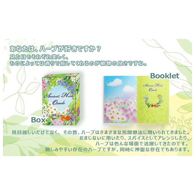 エンシェント ハーブ オラクルカード - Ancient Herb Oracle Cards 2 - 丈夫な収納箱と日本語の解説書