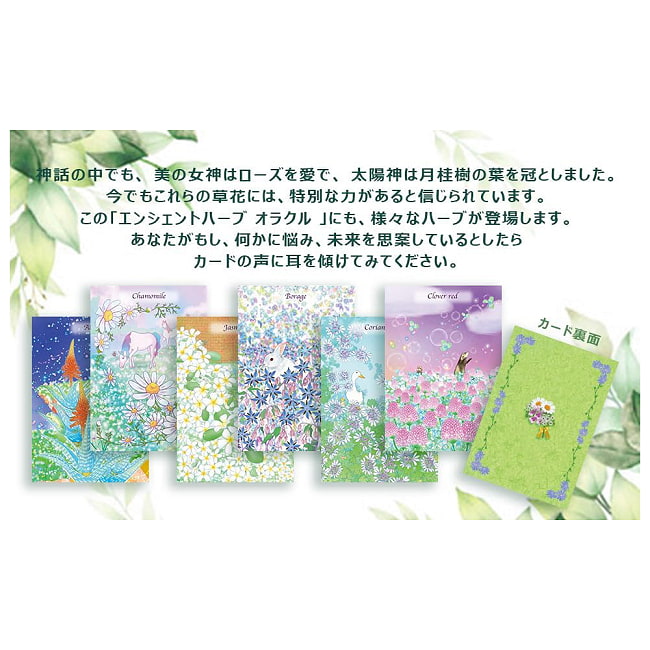 エンシェント ハーブ オラクルカード - Ancient Herb Oracle Cards 3 - 素敵なカードです。