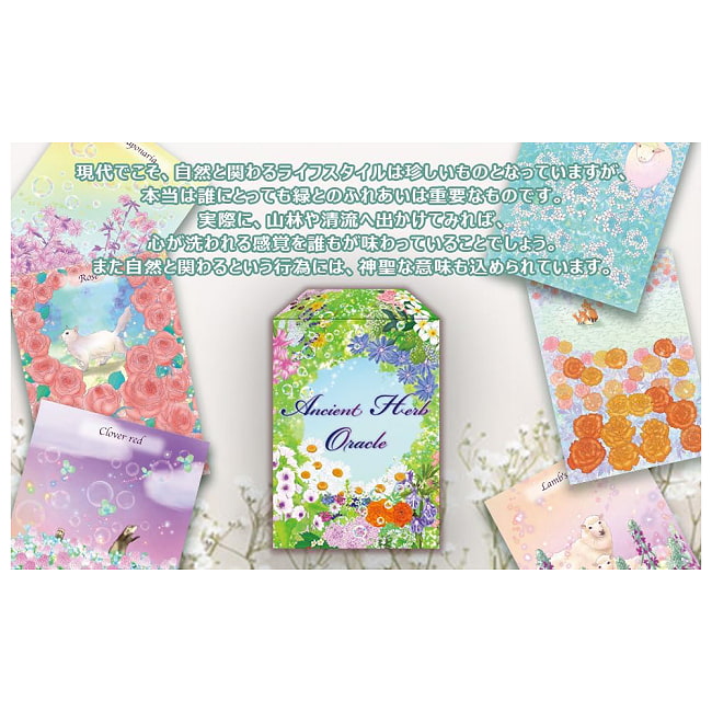 エンシェント ハーブ オラクルカード - Ancient Herb Oracle Cards 4 - ハーブが好きですか？