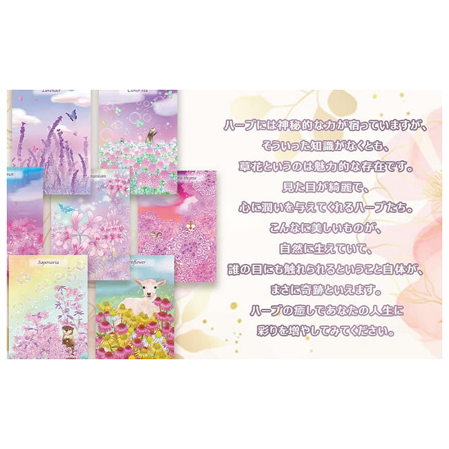 エンシェント ハーブ オラクルカード - Ancient Herb Oracle Cards 5 - あなたはなにを問いますか？