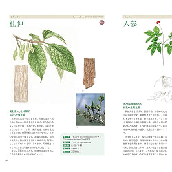 生薬と漢方薬の事典 - Dictionary of Herbal Medicines and Chinese Herbal Medicines - サブ4