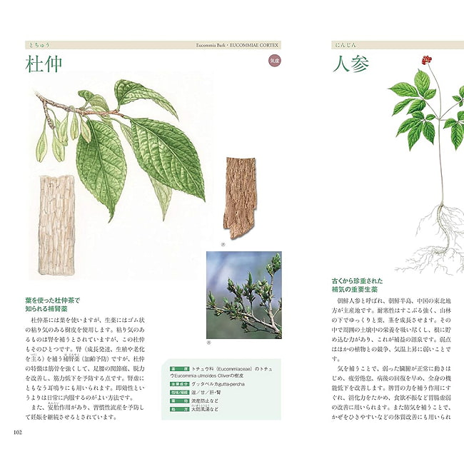 生薬と漢方薬の事典 - Dictionary of Herbal Medicines and Chinese Herbal Medicines 4 - 扱いやすい大きさです
