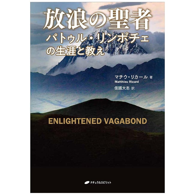 放浪の聖者 - The Wandering Saint 5 - 