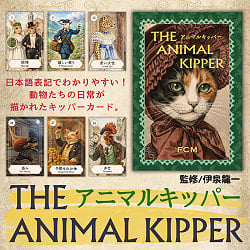 新入荷3