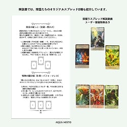 精霊たちが彩る魔法の贈り物フェアリーオラクルカード解説書 - A Magical Gift Adorned by Spirits: Fairy Oracle Card Guidebook - サブ4