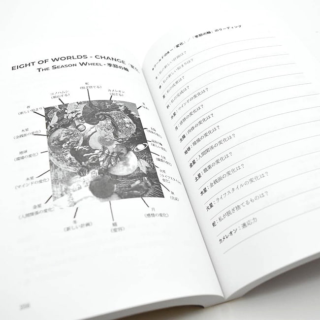 『ボイジャータロット入門と実践』新装版 - Voyager Tarot Introduction and Practice New Edition 3 - あなたはなにを問いますか？