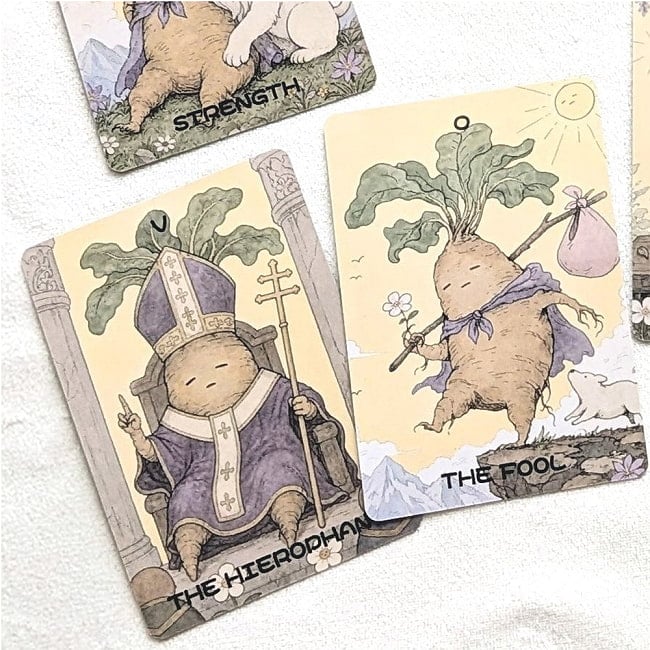 マンドラゴラタロット - Mandragora Tarotの写真