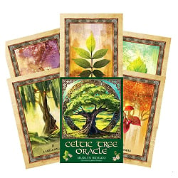 ケルティックツリーオラクル　ケルトの樹木オラクル - Celtic Tree Oracle - メイン