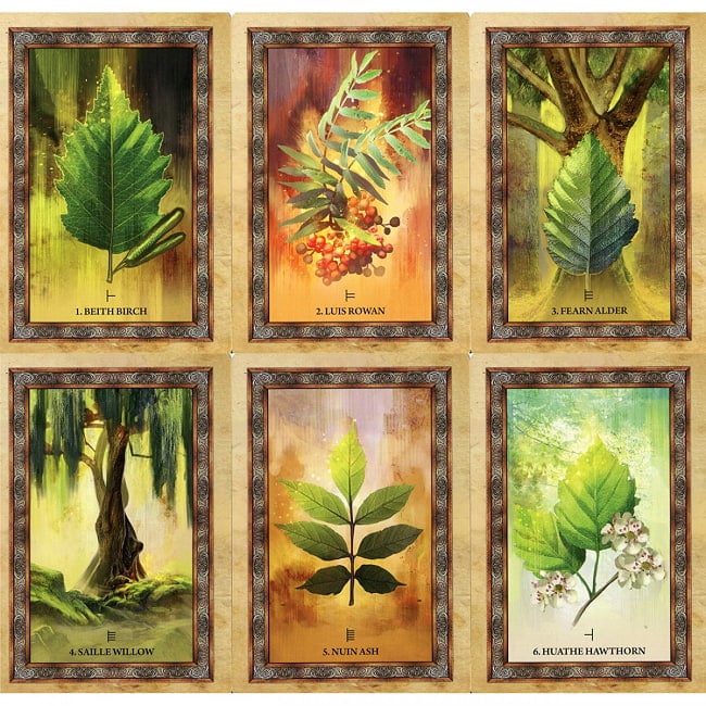 ケルティックツリーオラクル　ケルトの樹木オラクル - Celtic Tree Oracle 3 - あなたはなにを問いますか？