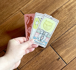 タロット キャッツ - Tarot Cats  - サブ4