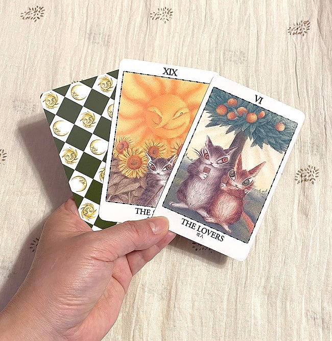 ダヤンのタロットカード - Dayan Tarot Card 4 - カードの大きさはこのくらい。カードを持っている手は、手の付け根から中指の先までで約17cmです。
