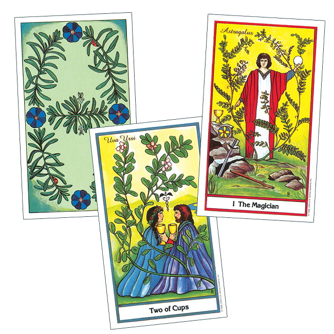 ハーバルタロット - The Herbal Tarot 2 - カードはこのような感じ