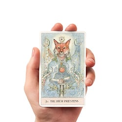 ファンタズマタロット - Phantasma Tarot - サブ5