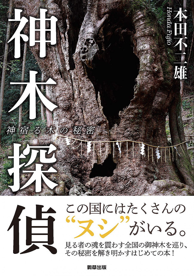 神木探偵　神宿る木の秘密 - Kamiki Detective: The secret of the tree that dwells in Kamikiの写真1枚目です。表紙神木,オラクル,タロット