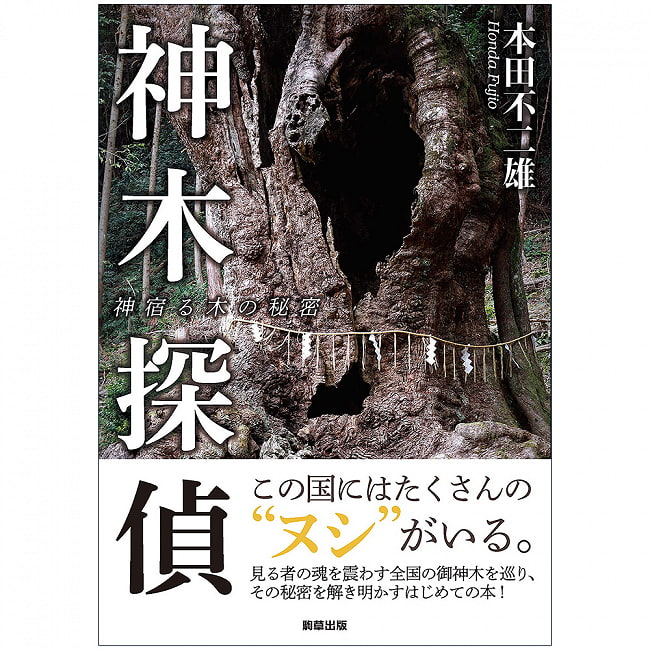 神木探偵　神宿る木の秘密 - Kamiki Detective: The secret of the tree that dwells in Kamikiの写真神木,オラクル,タロット
