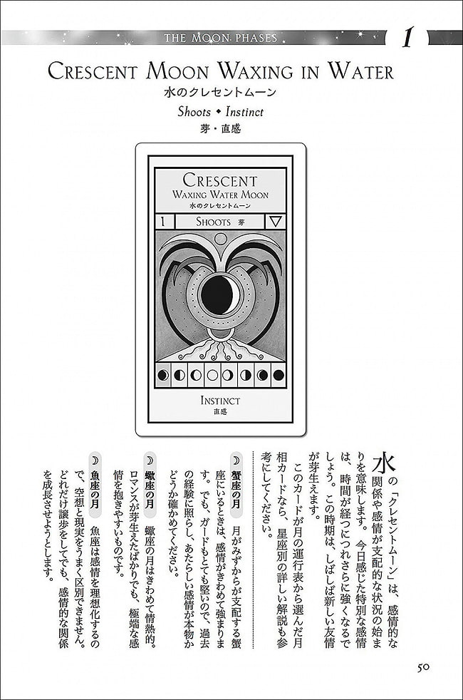 神秘のムーンオラクル - A mysterious moon oracle that brings back good luck 3 - 素敵な本です