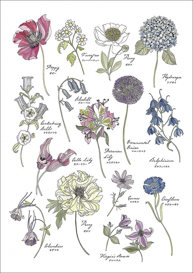 世界一美しい花のぬり絵BOOK - Coloring book of the best flowers in the world 3 - 素敵な本です