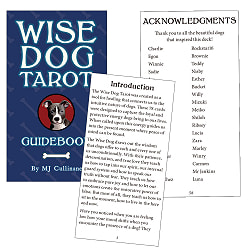 ワイズドッグタロット - Wise dog tarot - サブ3