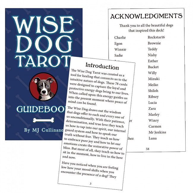 ワイズドッグタロット - Wise dog tarot 3 - 素敵なカードです