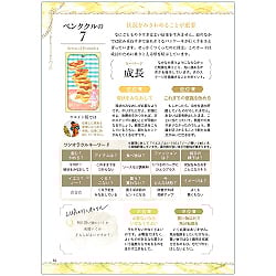 いちばんたのしい、タロット占い - The most fun tarot fortune-telling to start with 78 original cards - サブ4