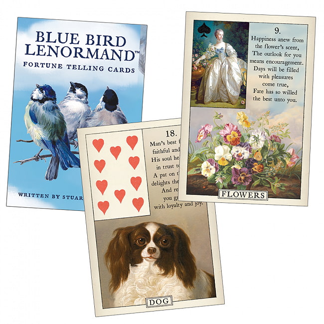 ブルーバードルノルマン - Bluebird Lenorman 2 - 素敵なカードです
