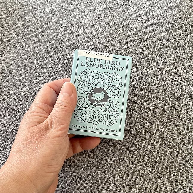 ブルーバードルノルマン - Bluebird Lenorman 4 - 箱を手に持ってみました。箱を持った手は、付け根から中指の先まで約15cmです