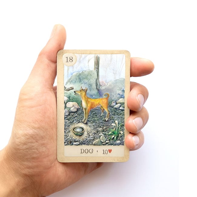 フェアリーテイル ルノルマン - Fairy tale Lenorman 4 - カードを手に持ってみました。カードを持った手は、付け根から中指の先まで約15cmです