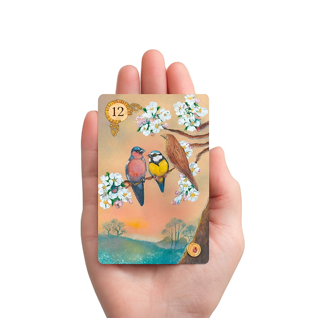 ケルト・ルノルマン - Celtic Lenorman 4 - カードを手に持ってみました。カードを持った手は、付け根から中指の先まで約15cmです