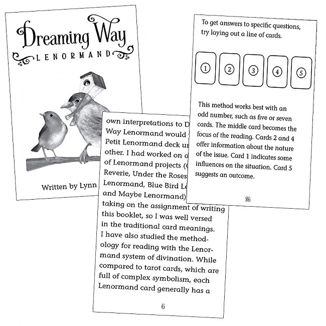 ドリーミングウェイルノルマン - Dreaming Way Lenorman 3 - 素敵なカードです