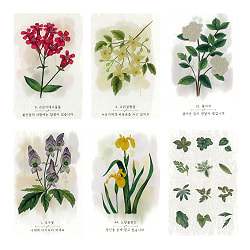 野生花オラクルデッキ - Wild Flowers Oracle Deck - サブ2