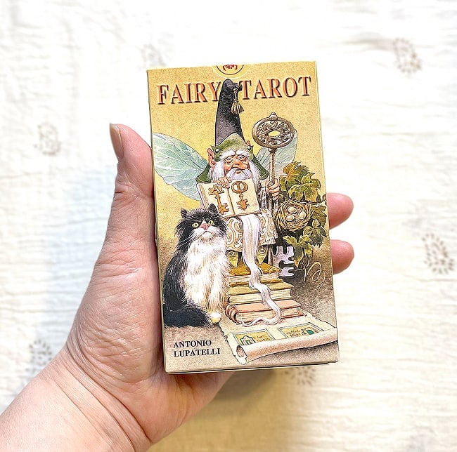 フェアリー・タロット（スカラベオ社） - Fairy Tarot (Scarabeo) 5 - 外箱の大きさはこのくらい。箱を持っている手は、手の付け根から中指の先までで約17cmです。
