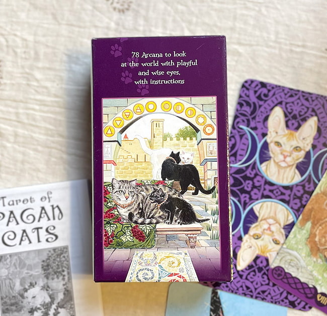 ペイガンキャッツ・タロット - Pegan Cats Tarot 3 - 箱裏はペンタクルスの10番。。アットホームな感じ？