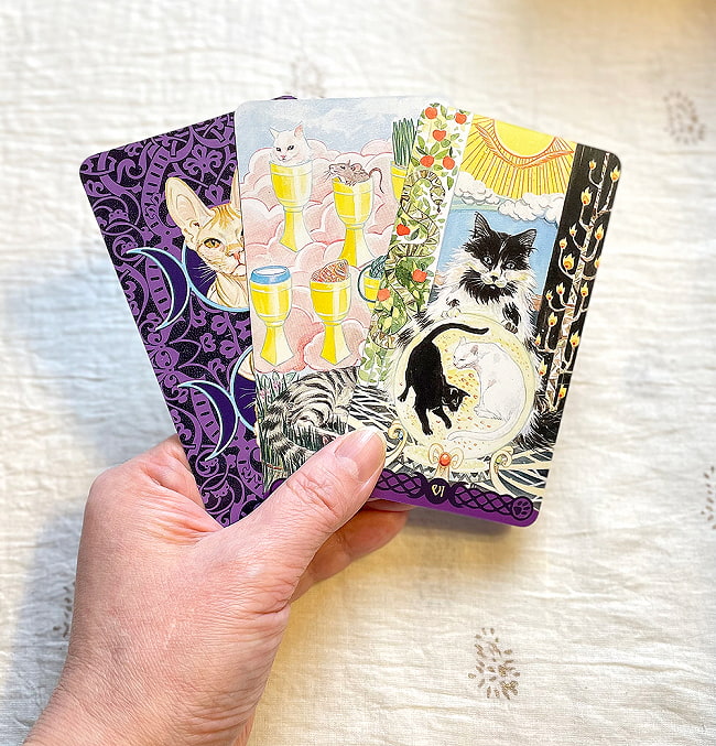 ペイガンキャッツ・タロット - Pegan Cats Tarot 4 - カードの大きさはこのくらい。カードを持っている手は、手の付け根から中指の先までで約17cmです。