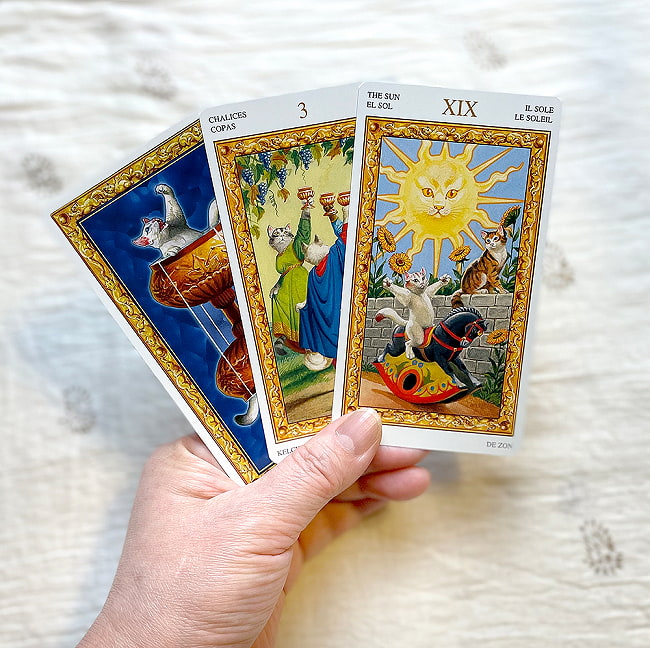 ホワイトキャッツ タロットカード - White Cats Tarot Card 4 - カードの大きさはこのくらい。カードを持っている手は、手の付け根から中指の先までで約17cmです。