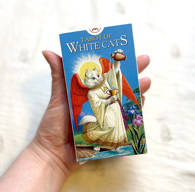 ホワイトキャッツ タロットカード - White Cats Tarot Card 5 - 外箱の大きさはこのくらい。箱を持っている手は、手の付け根から中指の先までで約17cmです。