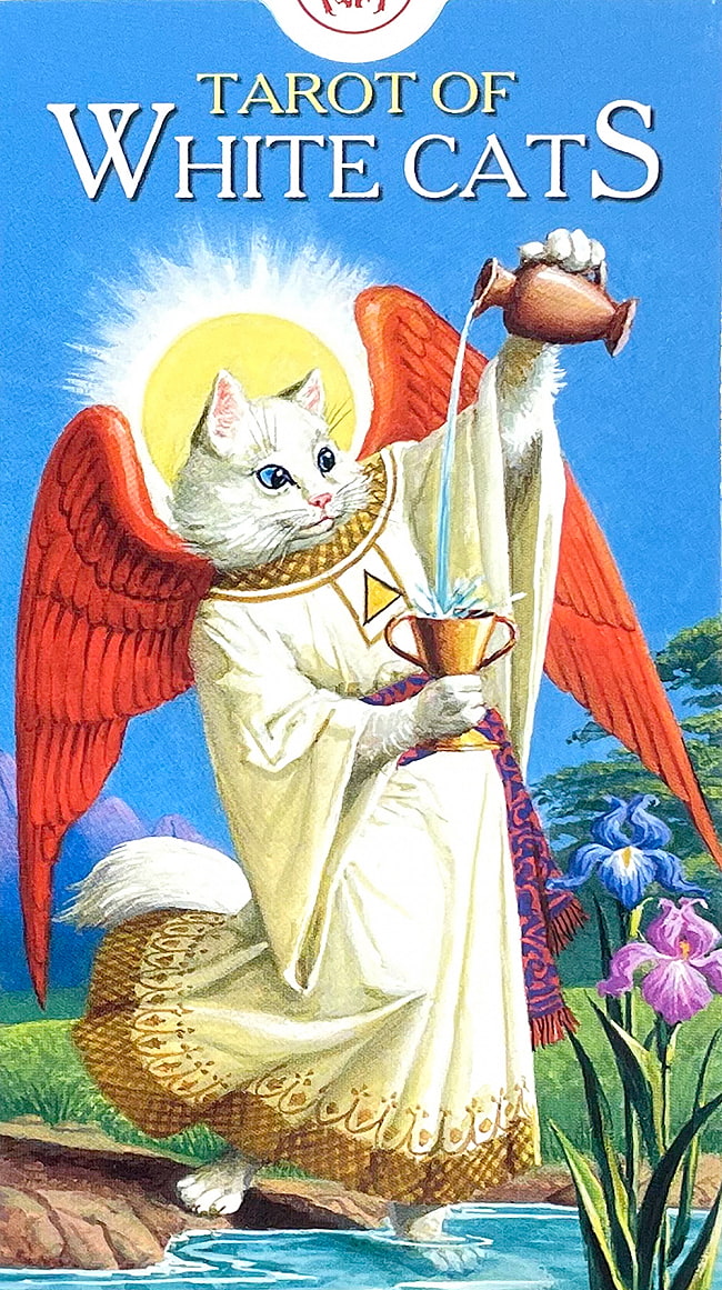 ホワイトキャッツ タロットカード - White Cats Tarot Cardの写真1枚目です。白いねこちゃんカードです、あなたはなにを問いますか？オラクルカード,占い,カード占い,タロット